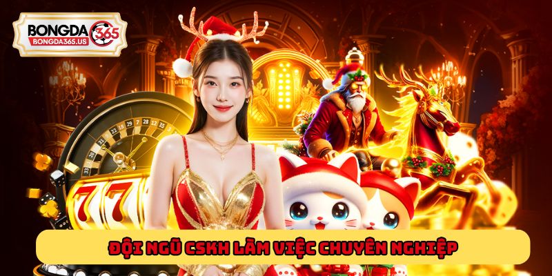 Đội ngũ CSKH làm việc chuyên nghiệp