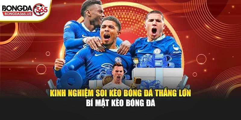 Kinh nghiệm soi kèo bóng đá tại nền tảng Kèo Bóng Đá