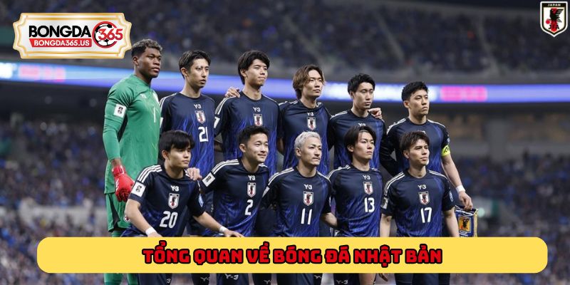 Tổng quan về bóng đá Nhật Bản