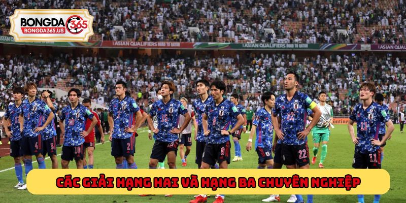 Các giải hạng hai và hạng ba chuyên nghiệp