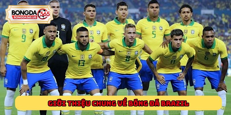 Giới thiệu chung về Bóng đá Brazil