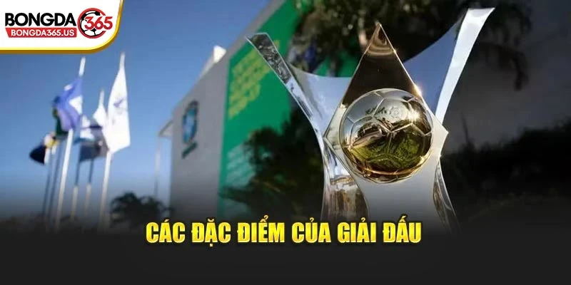 Các đặc điểm của giải đấu