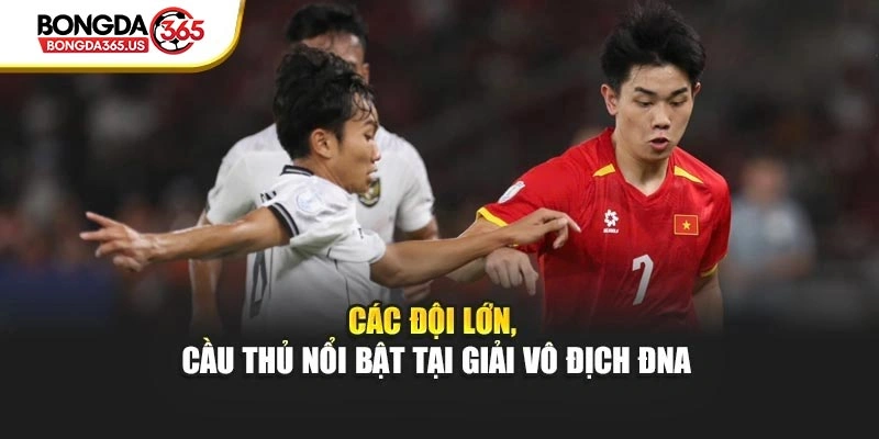 Các đội lớn, cầu thủ nổi bật tại giải vô địch ĐNA