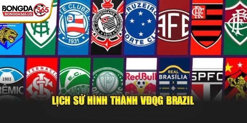 Lịch sử hình thành VĐQG Brazil