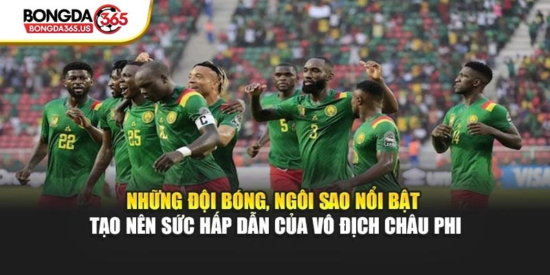 Những đội bóng, ngôi sao nổi bật tạo nên sức hấp dẫn của vô địch Châu Phi